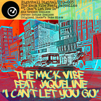 Mack Vibe - I Can't Let You Go