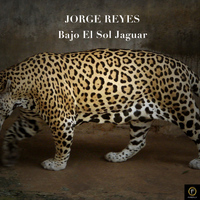 Jorge Reyes - Bajo El Sol Jaguar