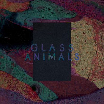 Glass Animals - Black Mambo / Exxus