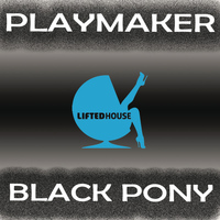 Playmaker - Black Pony