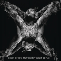 Chris Brown feat. Aaliyah - Don't Think They Know