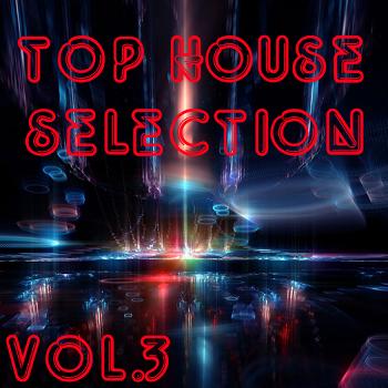 Various Artists - Top House Selection Vol. 3