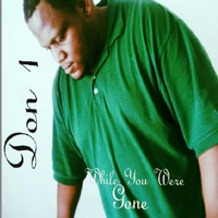 Don 1 - While You Were Gone - Single