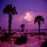 Charles Bunting - Hurricanes