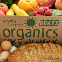Indy Lopez - Organics Beatz