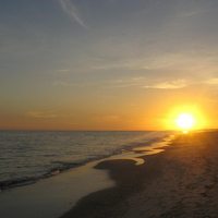 David Jordan - Florida Gulf Beach Meditation