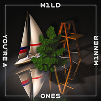 Wild Ones - You're a Winner