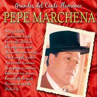 Pepe Marchena - Grandes del Cante Flamenco: Pepe Marchena