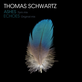 Thomas Schwartz - Echoes / Ashes