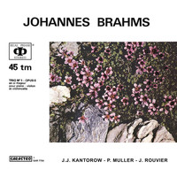 Jean-Jacques Kantorow - Johannes Brahms: Piano Trio No. 1 in B major, Op. 8 (revised version, 1889)