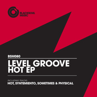 Level Groove - Hot EP