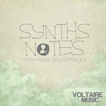 Various Artists - Synths and Notes 4.0 (Tech House Collection)
