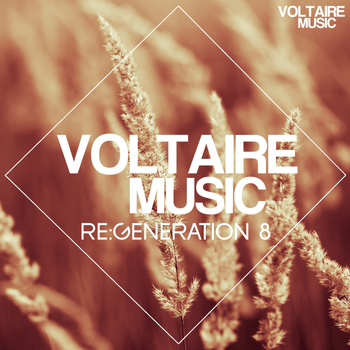 Various Artists - Voltaire Music Pres. Re:generation, Vol. 8