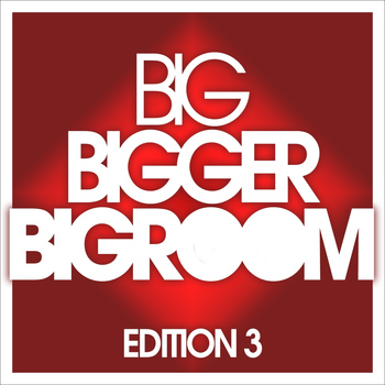 Various Artists - BIG, BIGGER, BIGROOM - Edition 3