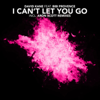David Kane - I Can't Let You Go