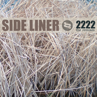 Side Liner - 2222
