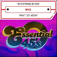Spice - Everything Is You / What Do I Mean (Digital 45)
