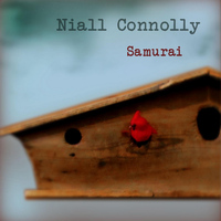 Niall Connolly - Samurai
