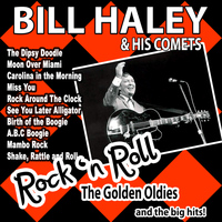 Bill Haley and his Comets - Bill Haley and His Comets Rock 'n' Roll the Golden Oldies and the Big Hits!