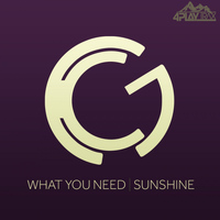 Karl G - What You Need - Sunshine