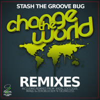 Stash The Groove Bug - Change the World