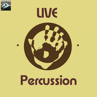 Carlo Galliani - Live Percussion