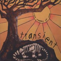 Transient - The Meaning of One