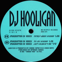DJ Hooligan - Imagination of House
