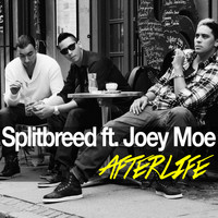Splitbreed - Afterlife