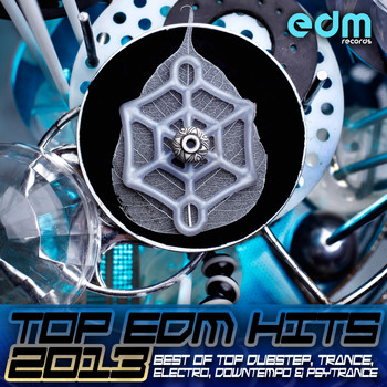 Various Artists - Top EDM Hits 2013 - Best of Top Dubstep, Trance, Electro, Downtempo & Psytrance