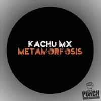 Kachu Mx - Metamorfosis