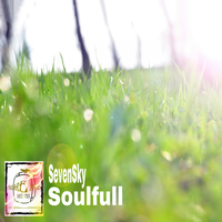 SevenSky - Soulfull