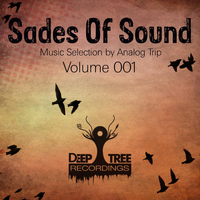 Analog Trip - Shades of Sound Vol 001