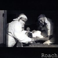 Roach - Roach