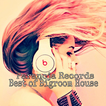 Various Artists - Best of Bigroom House