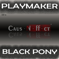Playmaker - Black Pony