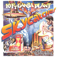 10 Ft. Ganja Plant / - Skycatcher