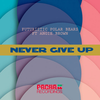 Futuristic Polar Bears feat. Angie Brown - Never Give Up