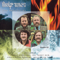 The Wolfe Tones - 25th Anniversary