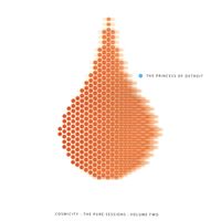 Cosmicity - The Pure Sessions - vol. 2: The Princess of Detroit