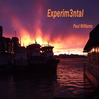 Paul Williams - Experim3ntal