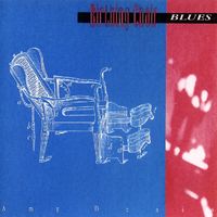 Amy Denio - Birthing Chair Blues