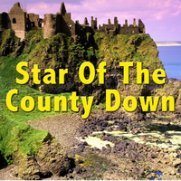 The Irish Boys - Star Of The County Down