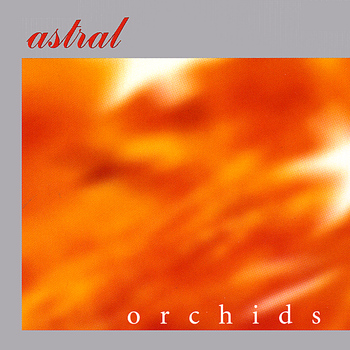 Astral - Orchids