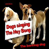 The Barking Dogs - Dogs Singing the Hey Song - SIngle