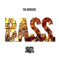 The Sneekers - B.a.s.s / Closure