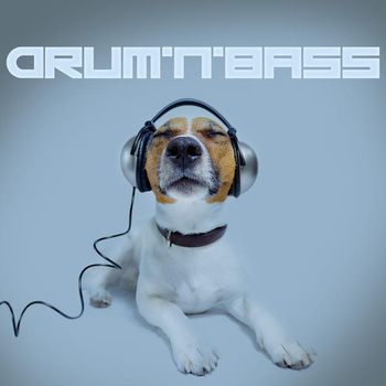 Various Artists - Drum'n'Bass