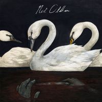 Ned Oldham - Let's Go Out Tonight (Explicit)