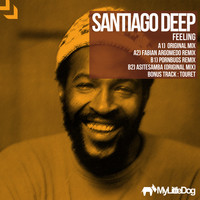 Santiago Deep - Feeling