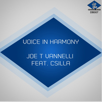 Joe T Vannelli - Voice in Harmony